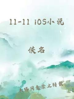 11-11 iOS小说