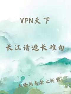 VPN天下